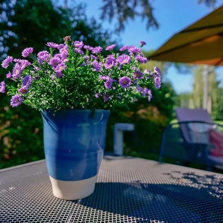 Pixel Bed & Breakfast